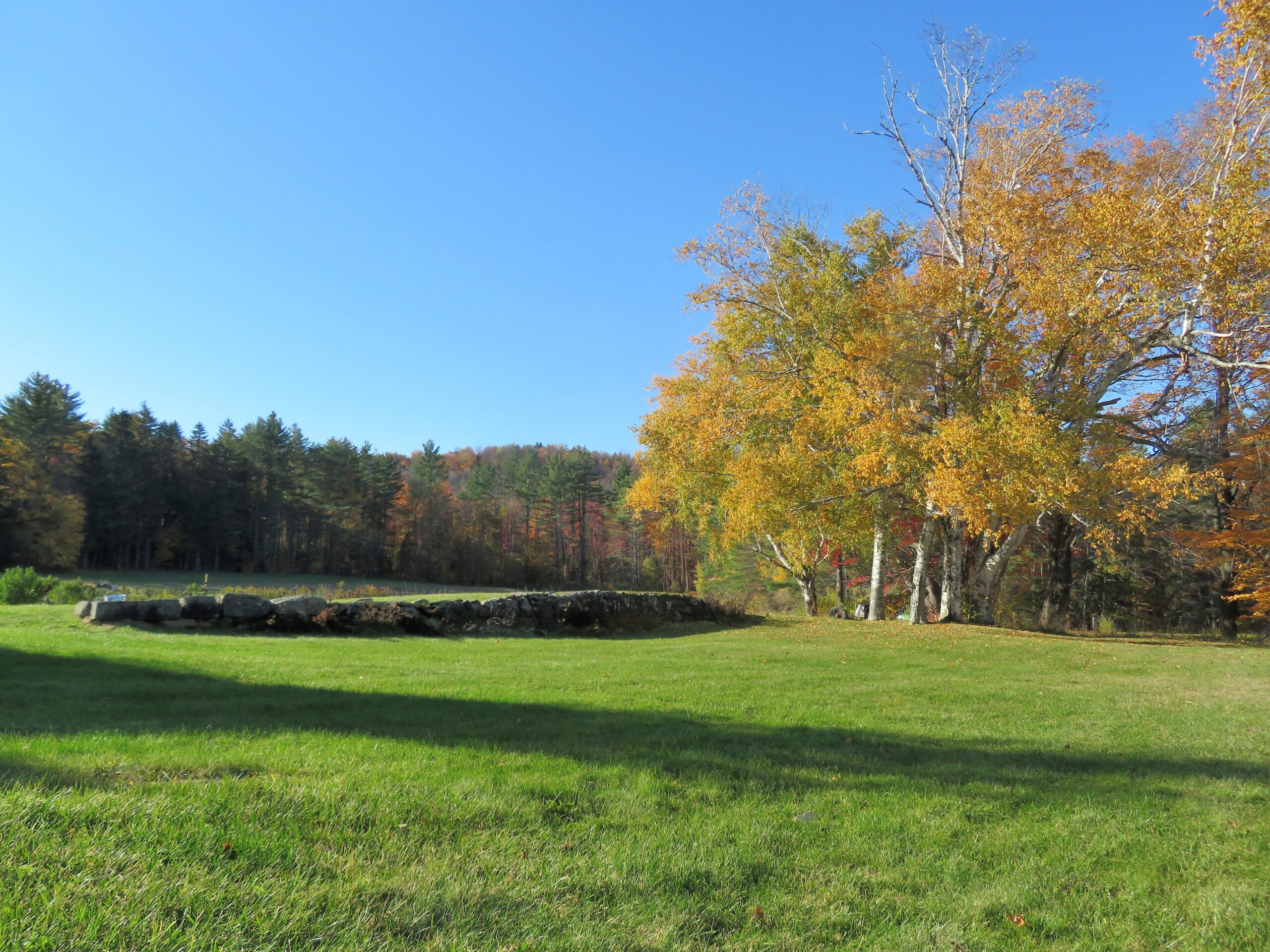 2022 Harvest Mt. Gay Farms